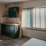 Recreatiepark De Boshoek * Voorthuizen