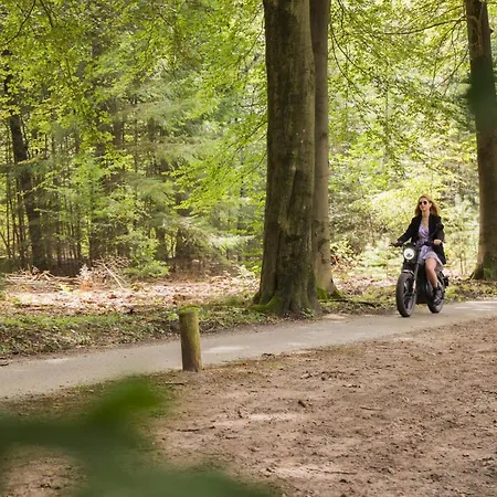 홀리데이파크 De Boshoek - Luxe Groepsverblijven Op De Veluwe 부투이젠