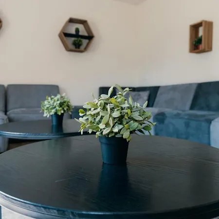 De Boshoek - Luxe Groepsverblijven Op De Veluwe