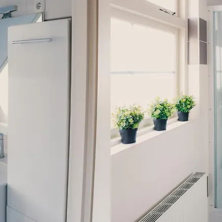 De Boshoek - Luxe Groepsverblijven Op De Veluwe Πάρκο διακοπών